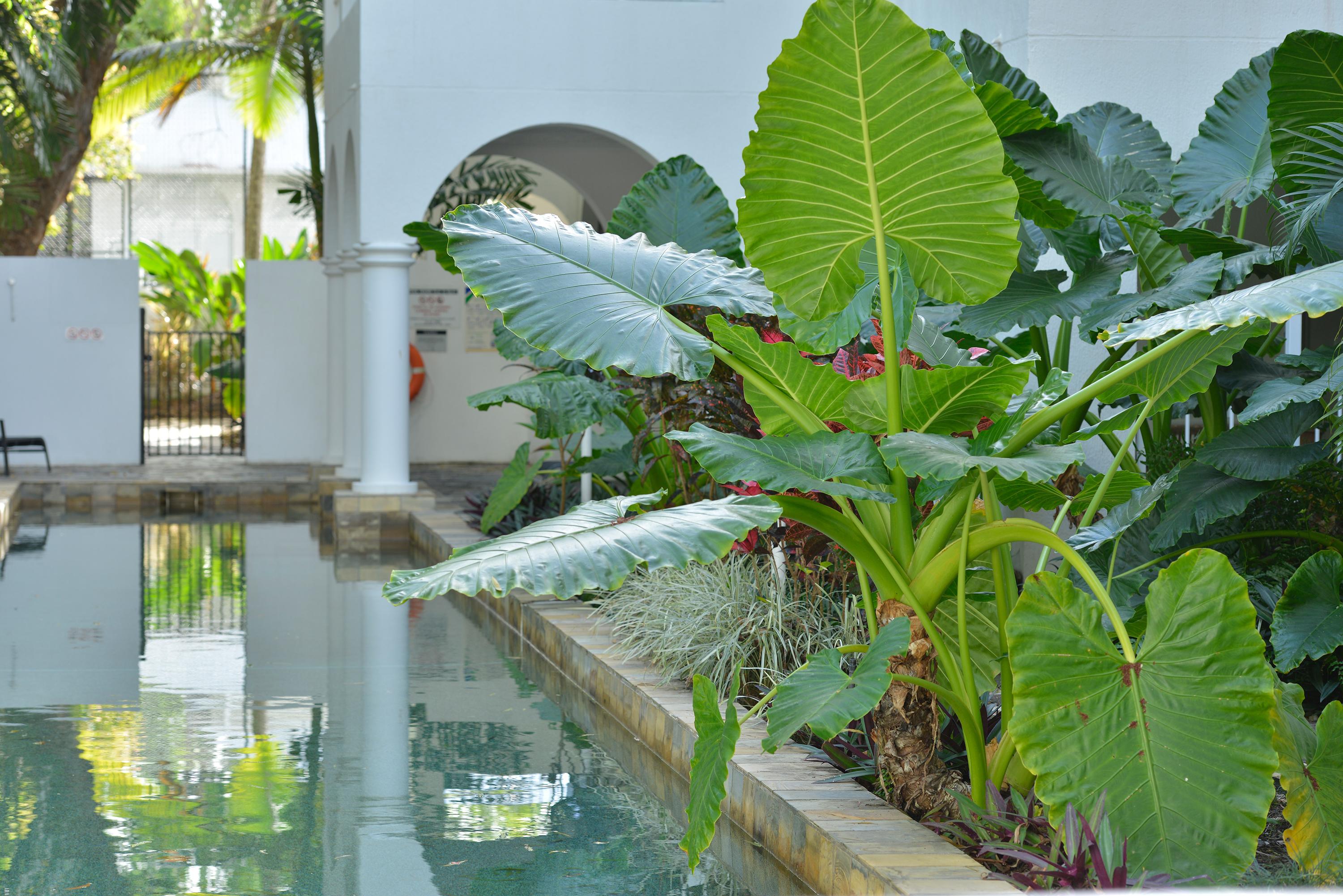 Mantra PortSea Port Douglas Exterior foto
